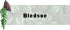 Bledsoe