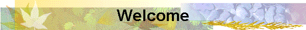 Welcome