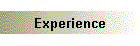 Experience