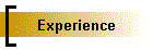 Experience
