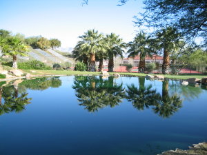 Lake at Santa Fe Neighborhood Pool & Tennis Club. - Photo courtesy of Pat McArron. (Click on this image for a larger view)